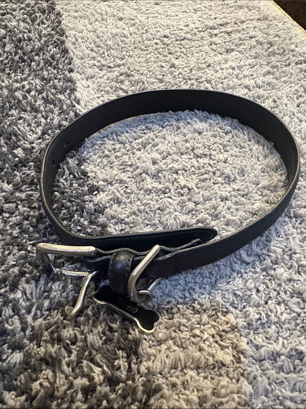 Coach dog collar